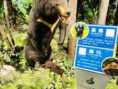 -吉林省自然博物馆