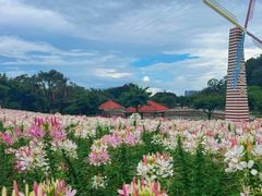 -广州莲花山旅游区