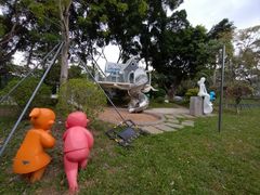 -银湖山郊野公园-相思林