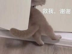 -长乐饭冰冰·冰饭·烧烤(长乐总店)