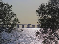 -宝安西湾红树林湿地公园