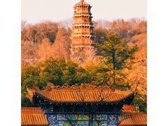 -宝通禅寺