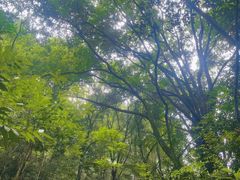 -飞霞风景名胜区