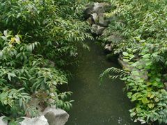 -梅园