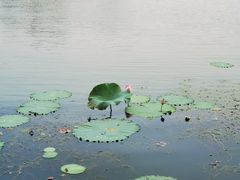 -长广溪湿地公园
