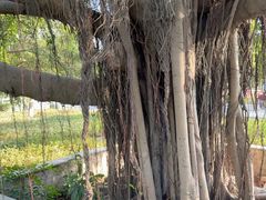 -大嶝英雄三岛战地观光园