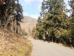 -南京老山国家森林公园