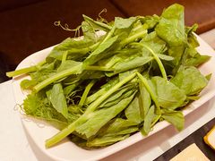 豌豆尖-小街猪手(团结湖店)
