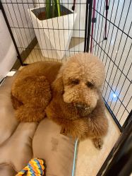 -첫번째 初见美学中心