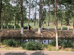 -东郊湿地公园