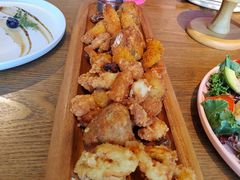 -百好乐宠物友好餐厅(朝外大街店)