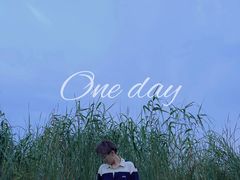 -合肥滨湖国家森林公园