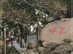 -江心屿景区