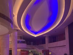 -芜湖白金汉爵大酒店