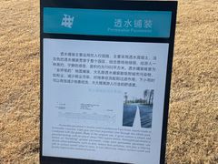 -春花秋色城市公园