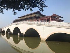 -大湾区中央湿地公园