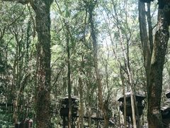 -富春桃源风景区