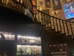 -雪灵魔法世界SHELLY’S TAROT(大良桂畔里店)
