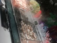 -威珀斯酒店·珀萃美食餐厅 | 海鲜刺身·现烤生蚝·特色烤肉
