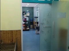 -瑞派长江宠物医院·猫科·外科·24小时夜护(谊城公寓分院)