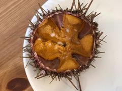 -海胆小馆(东北水饺·春柳店)