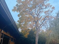 -上海吴淞炮台湾国家湿地公园
