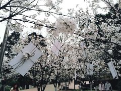 -南山植物园
