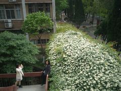 -四川大学(望江校区)
