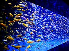 -成都浩海立方海洋公园