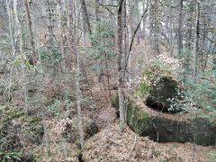 -五营红松林海景区