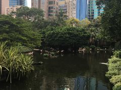 -九龙公园