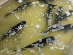 -魏铭鱼头捞饭(晋阳路店)