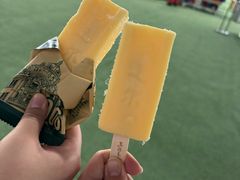 -亚布力新体委滑雪场