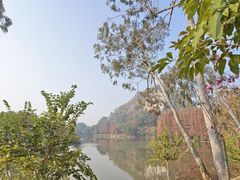 -星湖旅游景区七星岩