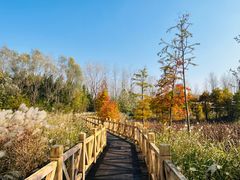 -溱湖国家湿地公园