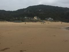 -普陀山慧济禅寺