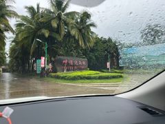 -呀诺达热带雨林
