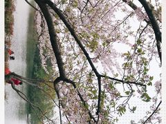 -新江湾城公园