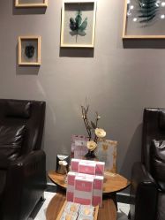 -三只熊皮肤管理中心