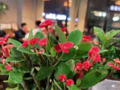 -壹块捌烧烤(灯市口店)