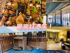 -廊坊固安福朋喜来登酒店