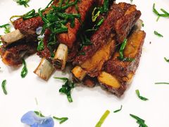 -望乡楼上海菜(日月光店)