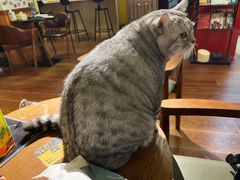 -H立方实景剧情密室(天河旗舰店)