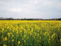 -中国天府农业博览园