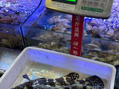 -鼓歌海鲜舫·手抓海鲜(大学城店)