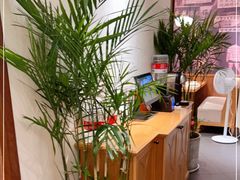 -顺风汤馆·广府粤菜(江宸天街店)