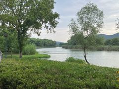 -长广溪湿地公园