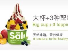 大杯冻酸奶-Salud撒露欧洲冻酸奶(北苑上品店)