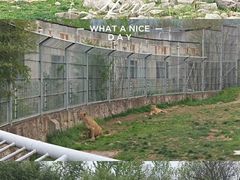 -西安秦岭野生动物园