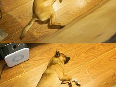 -小团圆糖水铺(襄阳南路店)